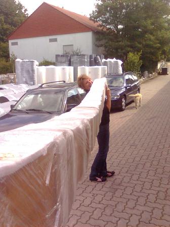 Anlieferung_Teichbr�cke