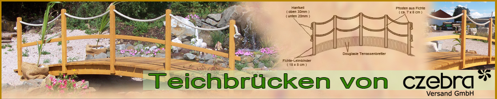 teichbruecke-oben2
